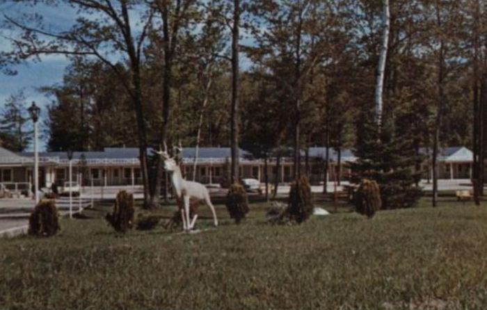 Deer Forest Motel (Sleepy Hollow Motel) - Old Postcard View